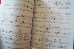 John Mellencamp - Whenever we wanted Songbook Notenbuch Piano Vocal Guitar PVG