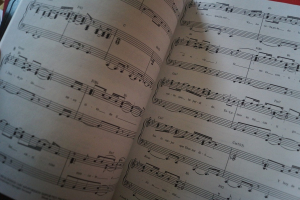 Jon Secada - Si te vas Songbook Notenbuch Piano Vocal Guitar PVG