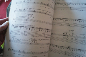 Slayer - Divine Intervention (ohne Poster) Songbook Notenbuch Vocal Guitar