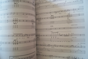 Soundgarden - Down on the upside Songbook Notenbuch Vocal Guitar