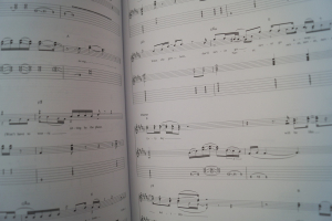 Warren Haynes - Man in Motion Songbook Notenbuch Vocal Guitar