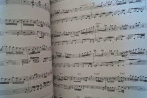 Mike Stern - Guitar Transcriptions Songbook Notenbuch Guitar Bass