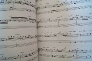 Mike Stern - Guitar Transcriptions Songbook Notenbuch Guitar Bass