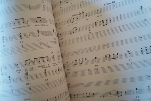 Elvis - Guitar Recorded Versions Songbook Notenbuch Vocal Guitar