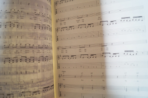 Iron Maiden - Play Guitar with (mit CD) Songbook Notenbuch Vocal Guitar