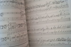 Jeff Healey Band - See the Light (mit Poster) Songbook Notenbuch Vocal Guitar