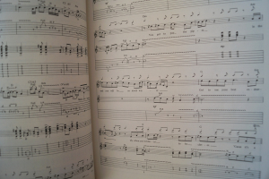 Jeff Healey Band - See the Light (mit Poster) Songbook Notenbuch Vocal Guitar