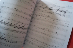 Stone Roses - The Very Best of Songbook Notenbuch Vocal Guitar