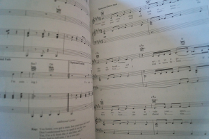 Ariana Grande - My Everything Songbook Notenbuch Piano Vocal Guitar PVG