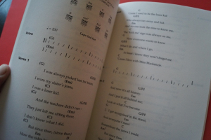 Busted - Chord Songbook Songbook Vocal Guitar Chords