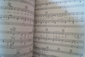 Carole King - Tapestry Songbook Notenbuch Piano Vocal Guitar PVG