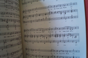 Pasadena Roof Orchestra - Song Book Songbook Notenbuch Piano Vocal Guitar PVG