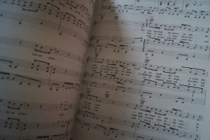 Steven Curtis Chapman - Signs of Life Songbook Notenbuch Piano Vocal Guitar PVG