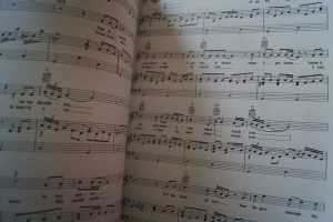 Travis Tritt - Trouble Songbook Notenbuch Piano Vocal Guitar PVG