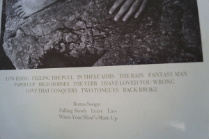 Swell Season - Strict Joy Songbook Notenbuch Piano Vocal Guitar PVG