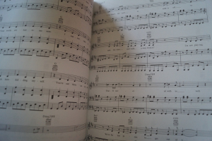 Swell Season - Strict Joy Songbook Notenbuch Piano Vocal Guitar PVG