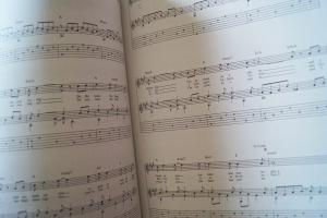 John Denver - Greatest Hits for Fingerstyle Guitar Songbook Notenbuch Vocal Guitar