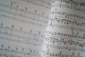 Elvis - Anthology Vol. 1 & 2 Songbooks Notenbücher Piano Vocal Guitar PVG