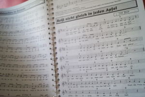 Evergreen Music Box Songbook Notenbuch Vocal Guitar