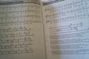 Evergreen Music Box Songbook Notenbuch Vocal Guitar