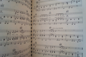 Neil Diamond - Deluxe Book of Songs Songbook Notenbuch Piano Vocal Guitar PVG