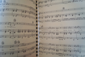 Neil Diamond - Deluxe Book of Songs Songbook Notenbuch Piano Vocal Guitar PVG