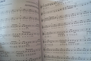 Deutsche Schlager Das Beste (mit 2 CDs) Songbook Notenbuch Piano Vocal Guitar PVG