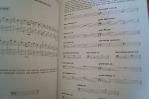 Rock Bass (mit CD) Bassbuch