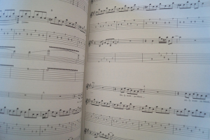 Lita Ford - Stiletto Songbook Notenbuch Vocal Guitar