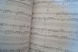 Lita Ford - Stiletto Songbook Notenbuch Vocal Guitar