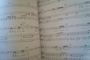 Patricia Kaas - Songbook Songbook Notenbuch Piano Vocal