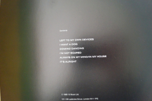 Pet Shop Boys - Introspective (mit Poster) Songbook Notenbuch Piano Vocal Guitar PVG