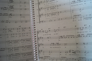 Wise Guys - Songbook Songbook Notenbuch Vocal Guitar