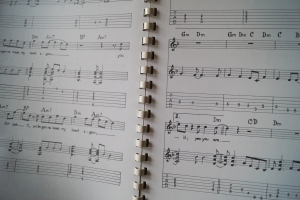 Whitesnake - Guitar Superstar Series Songbook Notenbuch Vocal Guitar