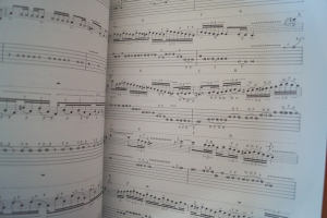 Yngwie Malmsteen - Rising Force Songbook Notenbuch Vocal Guitar Bass