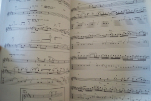 Journey - Guitar Collection Songbook Notenbuch Vocal Guitar