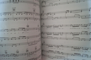 Lenny Kravitz - Greatest Hits Songbook Notenbuch Piano Vocal Guitar PVG