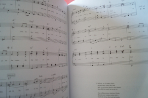 Wise Guys - Noten für Klavier Volume 1 Songbook Notenbuch Piano Vocal Guitar PVG