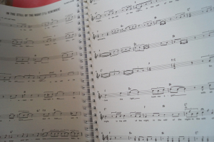 Leadsheets The Red Book Songbook Notenbuch Vocal Guitar