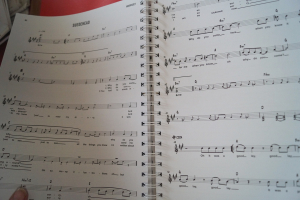 Leadsheets The Red Book Songbook Notenbuch Vocal Guitar