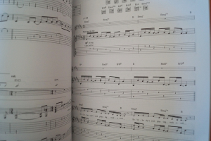 Ryan Adams - Rock n Roll Songbook Notenbuch Vocal Guitar