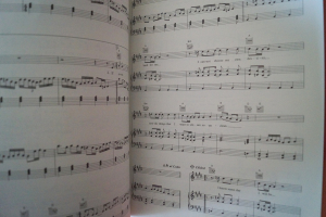 Levellers - Levelling the Land Songbook Notenbuch Piano Vocal Guitar PVG