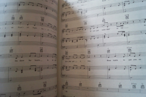 Joshua Kadison - Painted Desert Serenade Songbook Notenbuch Piano Vocal Guitar PVG