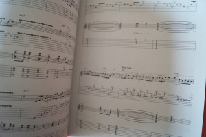 Eric Johnson - Ah Via Musicom Songbook Notenbuch Vocal Guitar