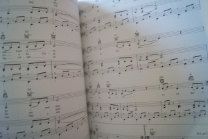 Enya - Dark Sky Island Songbook Notenbuch Piano Vocal Guitar PVG