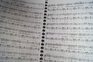 Schürzenjäger - Typisch Schürzenjäger Songbook Notenbuch Piano Vocal Guitar PVG