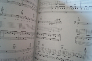 Lorie - Attitudes Songbook Notenbuch Piano Vocal Guitar PVG