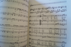Rainhard Fendrich - Band 2 Songbook Notenbuch Piano Vocal