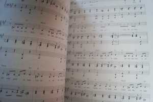 Maury Yeston - The Songbook Songbook Notenbuch Piano Vocal
