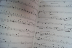 Richard Rodgers - Classics Songbook Notenbuch Piano